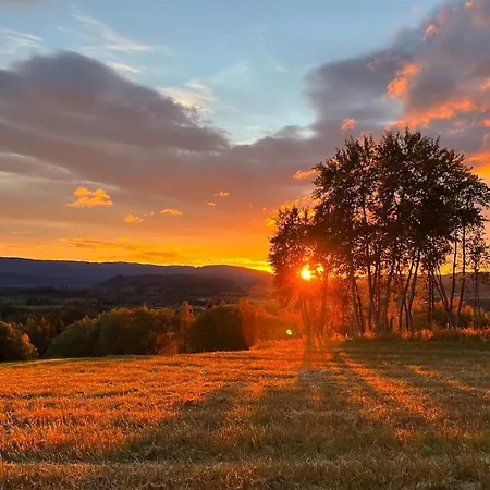 Architect Designed Micro House