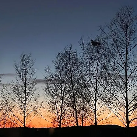 Architect Designed Micro House Holiday home *