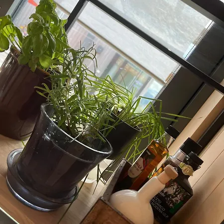 Architect Designed Micro House