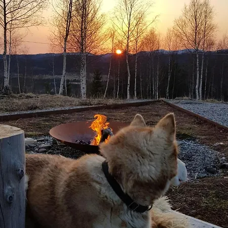 Architect Designed Micro House Skage (Trondelag)