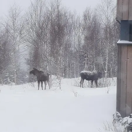 Architect Designed Micro House Holiday home *