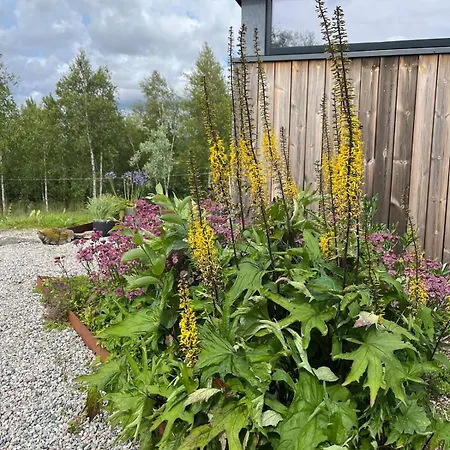 Architect Designed Micro House * Skage (Trondelag)