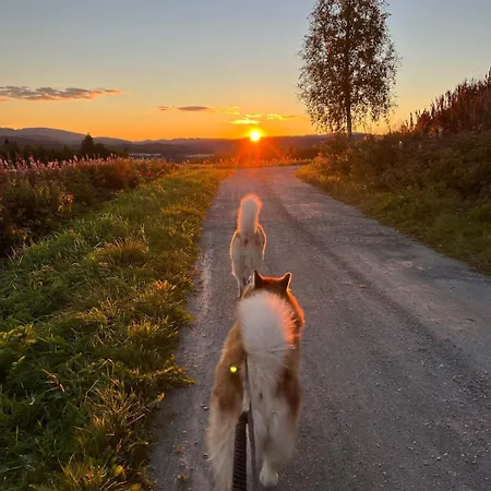 Architect Designed Micro House