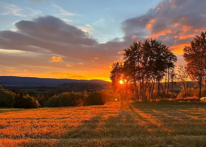 Architect Designed Micro House